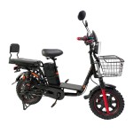 20-inch Ilan Princess II instrument head front and rear oil dish brushless gearless motor lithium battery electric bicycle